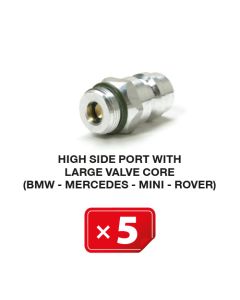 High side port with large valve core (BMW-Mercedes-Mini-Rover) (5 pcs. Pack)