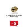 Service Port Brass Cap 5/16 SAE (5 pcs. Pack)