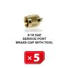 Service Port Brass Cap With Tool 5/6 SAE (5 pcs. Pack)